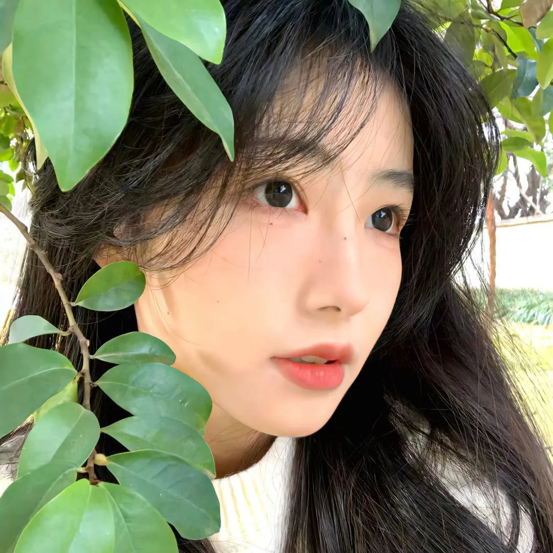 天才杂技演员